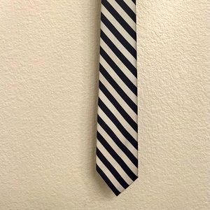 J Crew Mens Silk Tie